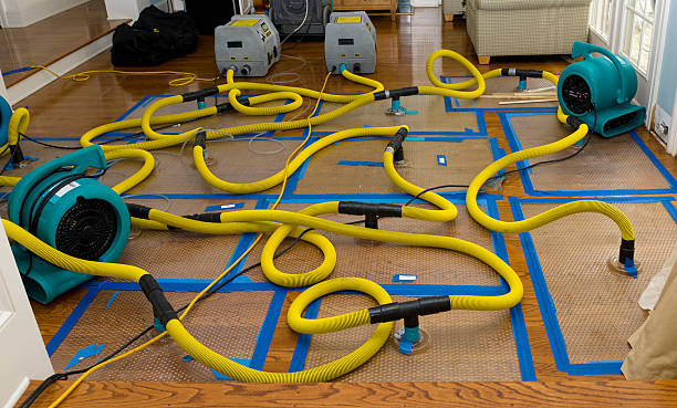 Professional Flood Damage Restoration technician working in Pine River, WI